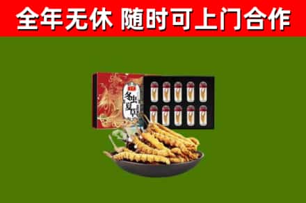 黄梅烟酒回收冬虫夏草礼盒.jpg
