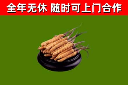 黄梅烟酒回收冬虫夏草.jpg